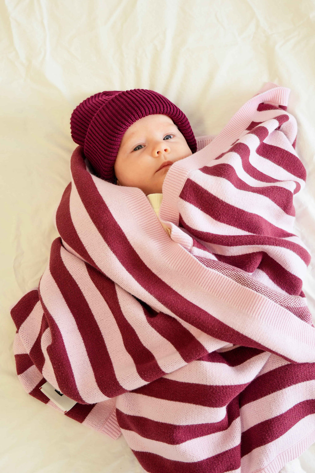 Pink & Burgundy Blanket